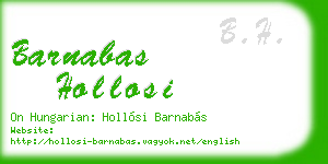 barnabas hollosi business card