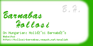 barnabas hollosi business card
